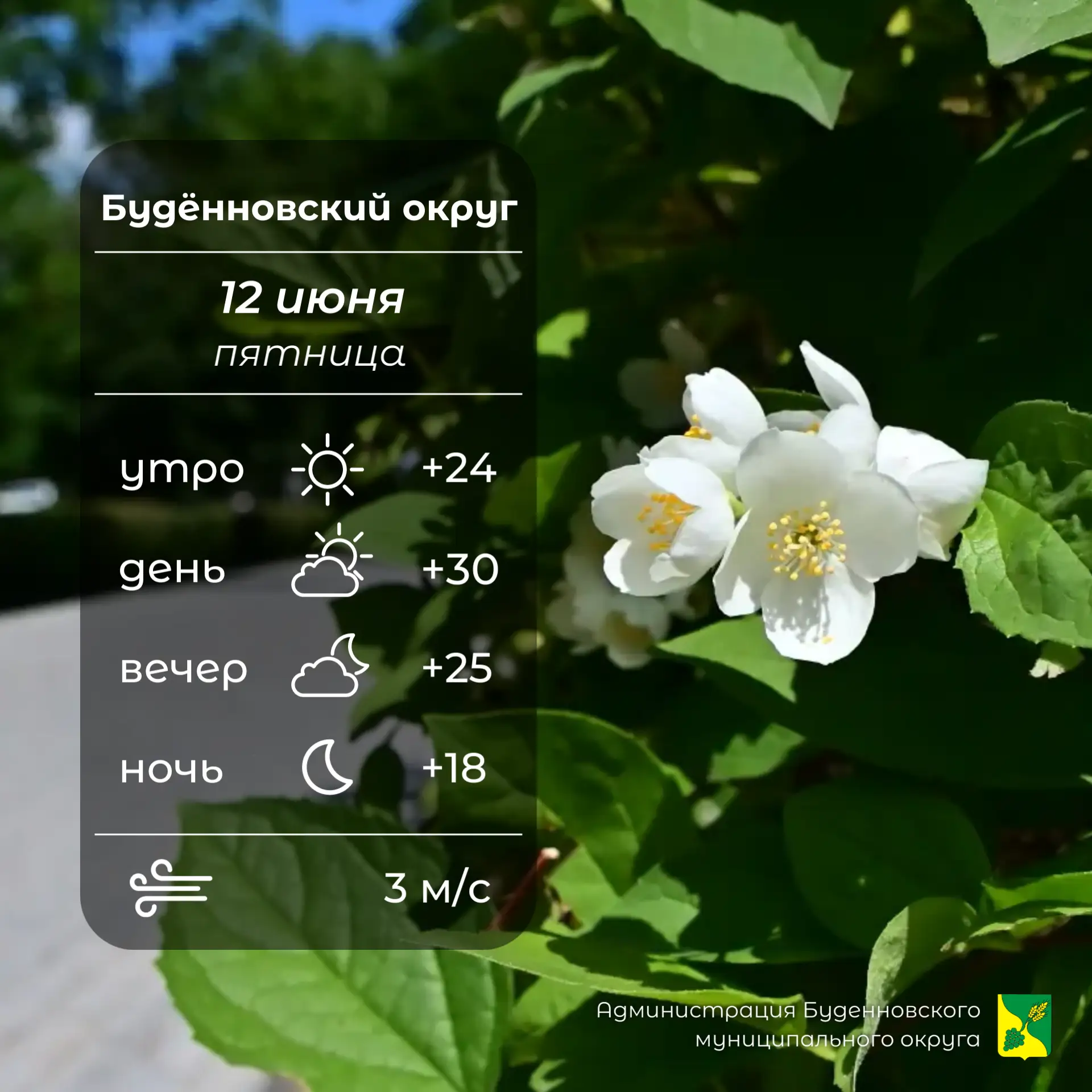⛅Сегодня в Буденновском округе переменная облачность, без осадков. Температура воздуха +18…⁠+30°. Сл