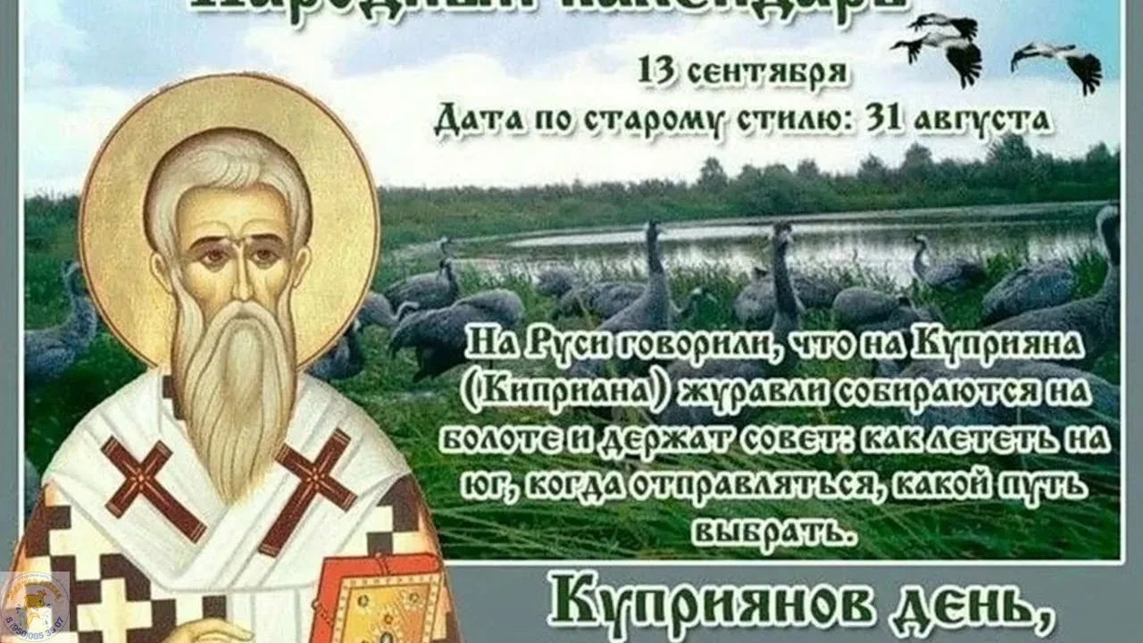 🎉 13 сентября — Куприянов день, или Журавлиное вече! 🎉