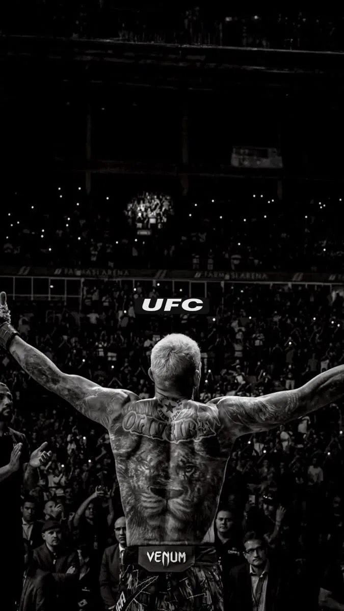 ⭐ ОБОИ UFC
