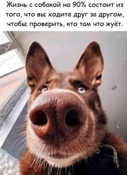 Подпишись на юмор 😂