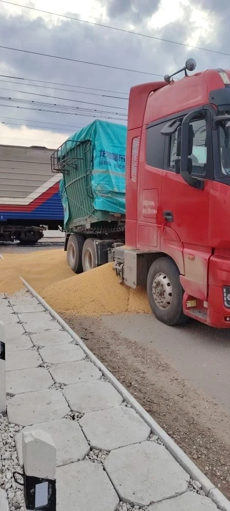 Авария на переезде в пгт. Архара. Подробности выясняются