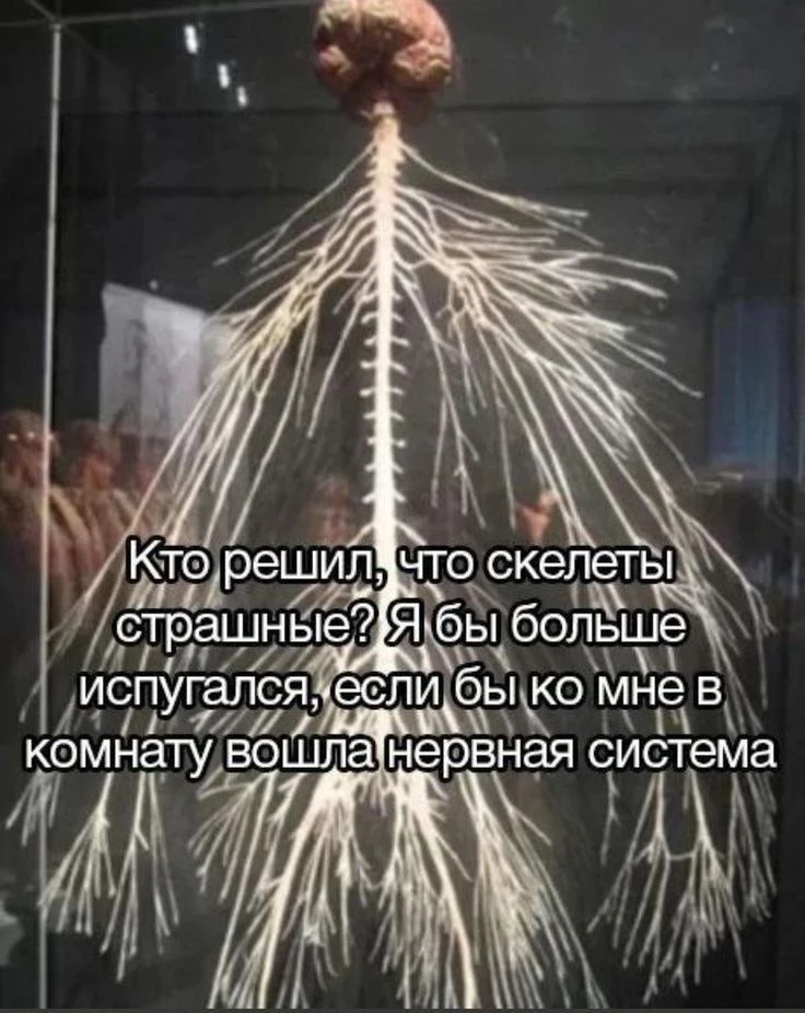 У кого нервная система встревожена?