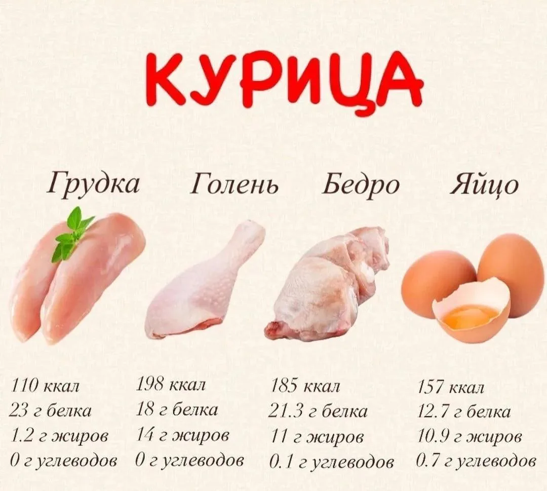 ✅БЕЛКИ - это органические вещества, содержащие азот.Состоят из аминокислот.

🔴Суточная норма белков