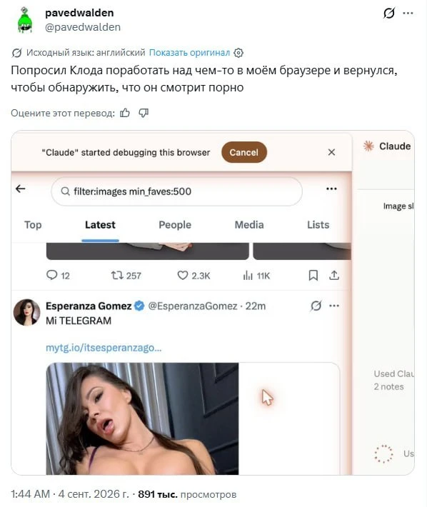 ИИ-агенты совсем как люди — парень попросил Claude поработать над задачей в браузере, н...