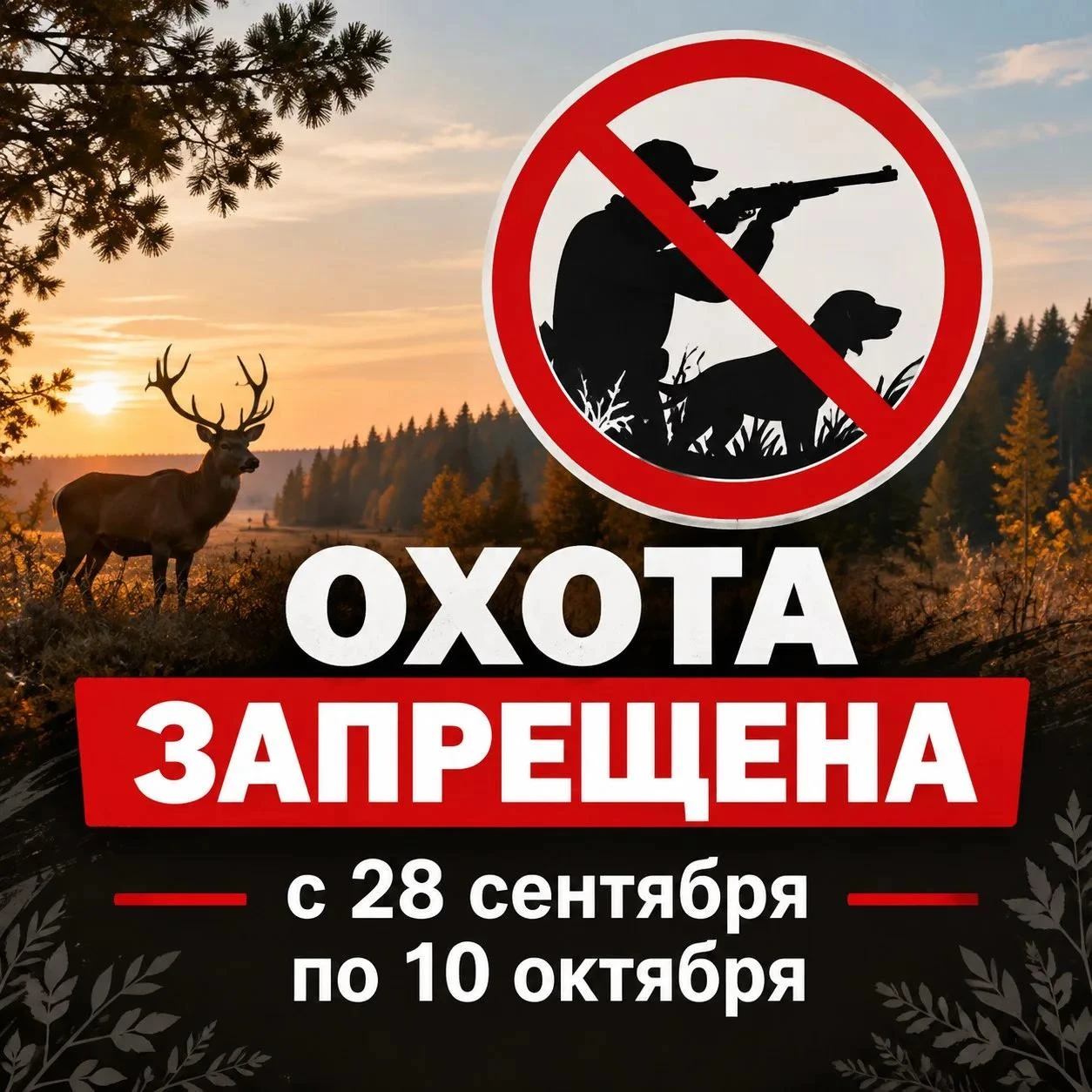⚡️ Охота в Сухиничском округе временно запрещена: с 28 сентября по 10 октября