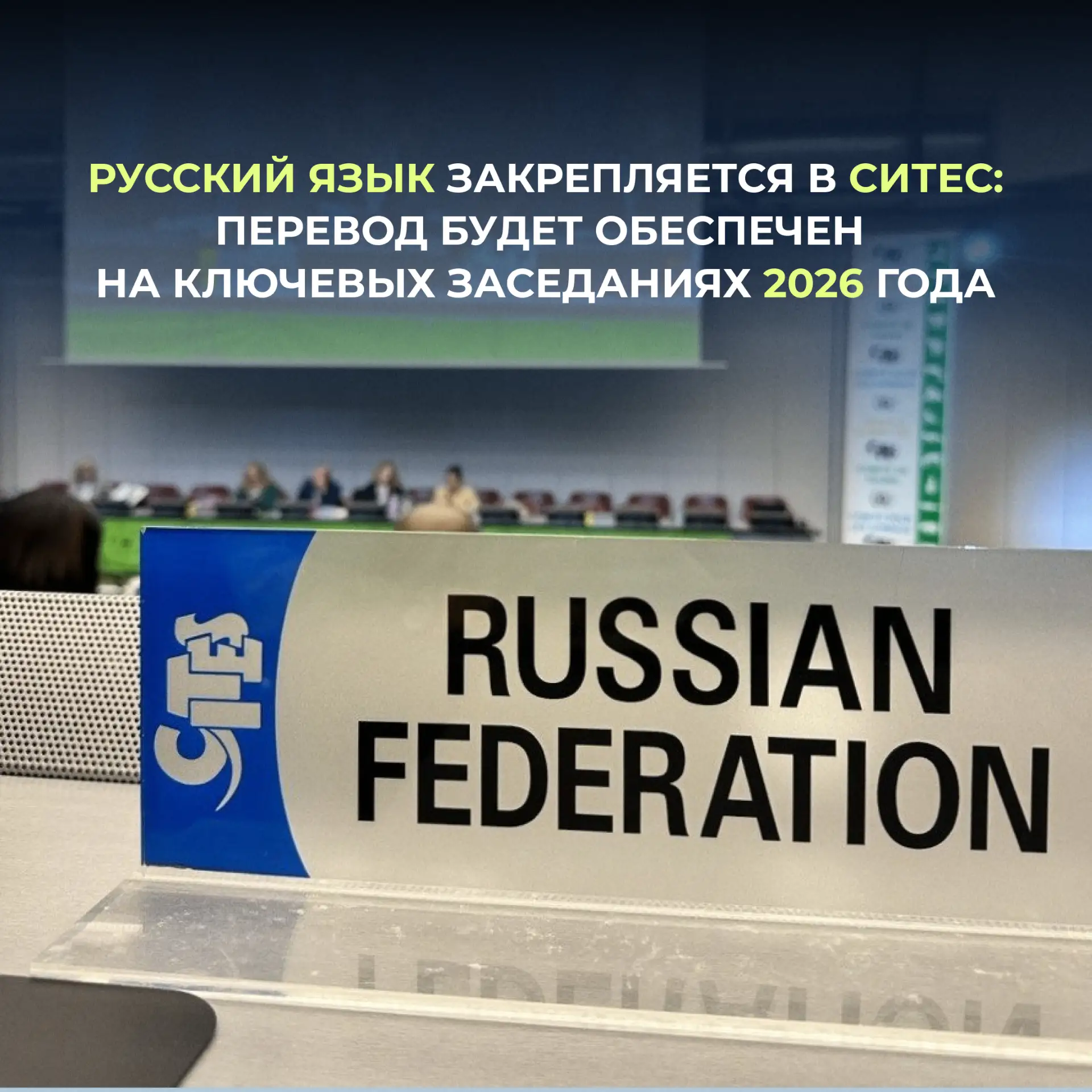 На предстоящих заседаниях комитетов Конвенции СИТЕС в 2026 году будет обеспечен устный перевод на ру