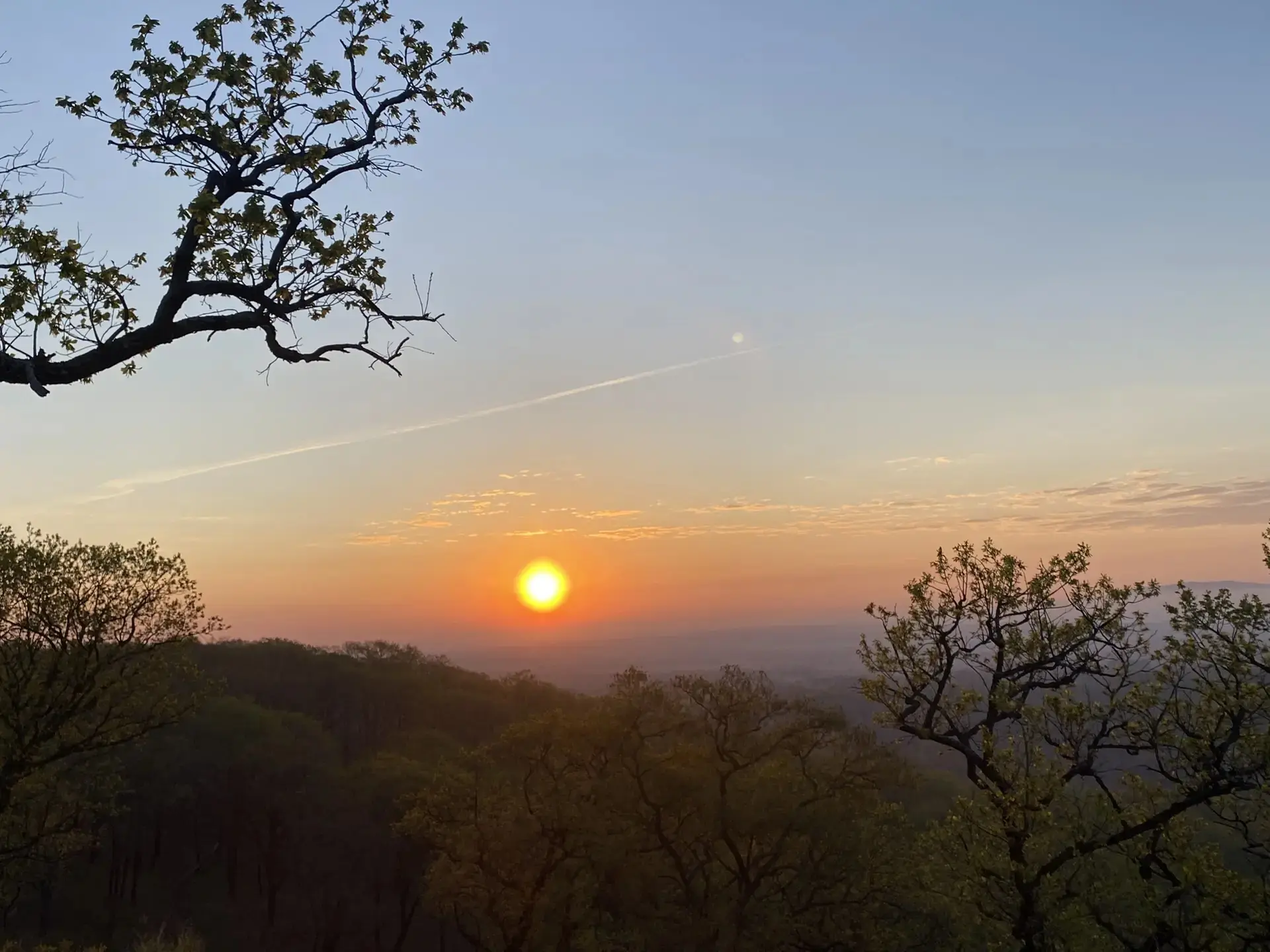 🌄 ОТКРЫВАЕМ ПОХОДНЫЙ СЕЗОН! 🌄

Весна зовёт в дорогу — самое время собирать рюкзак, проверять снаря