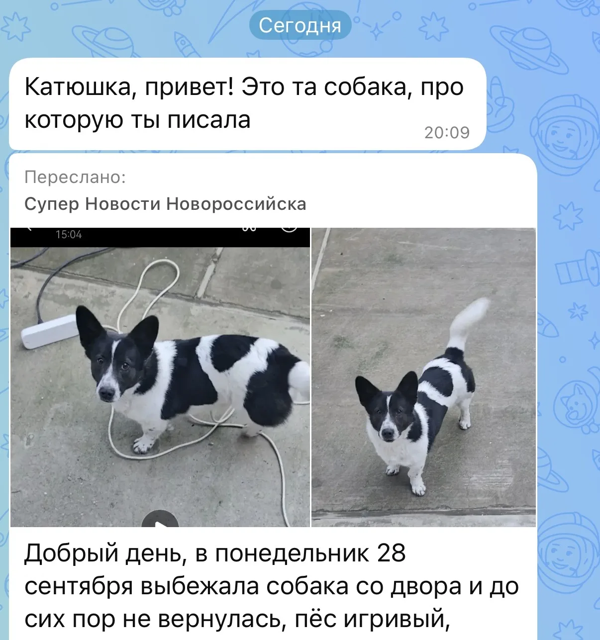 мы нашли хозяина собаки с вашей помощью ❤️🫂 невероятно!