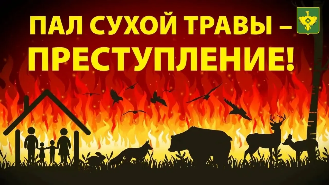 🔥 Осторожно: пал сухой травы- угроза рядом! 🔥
