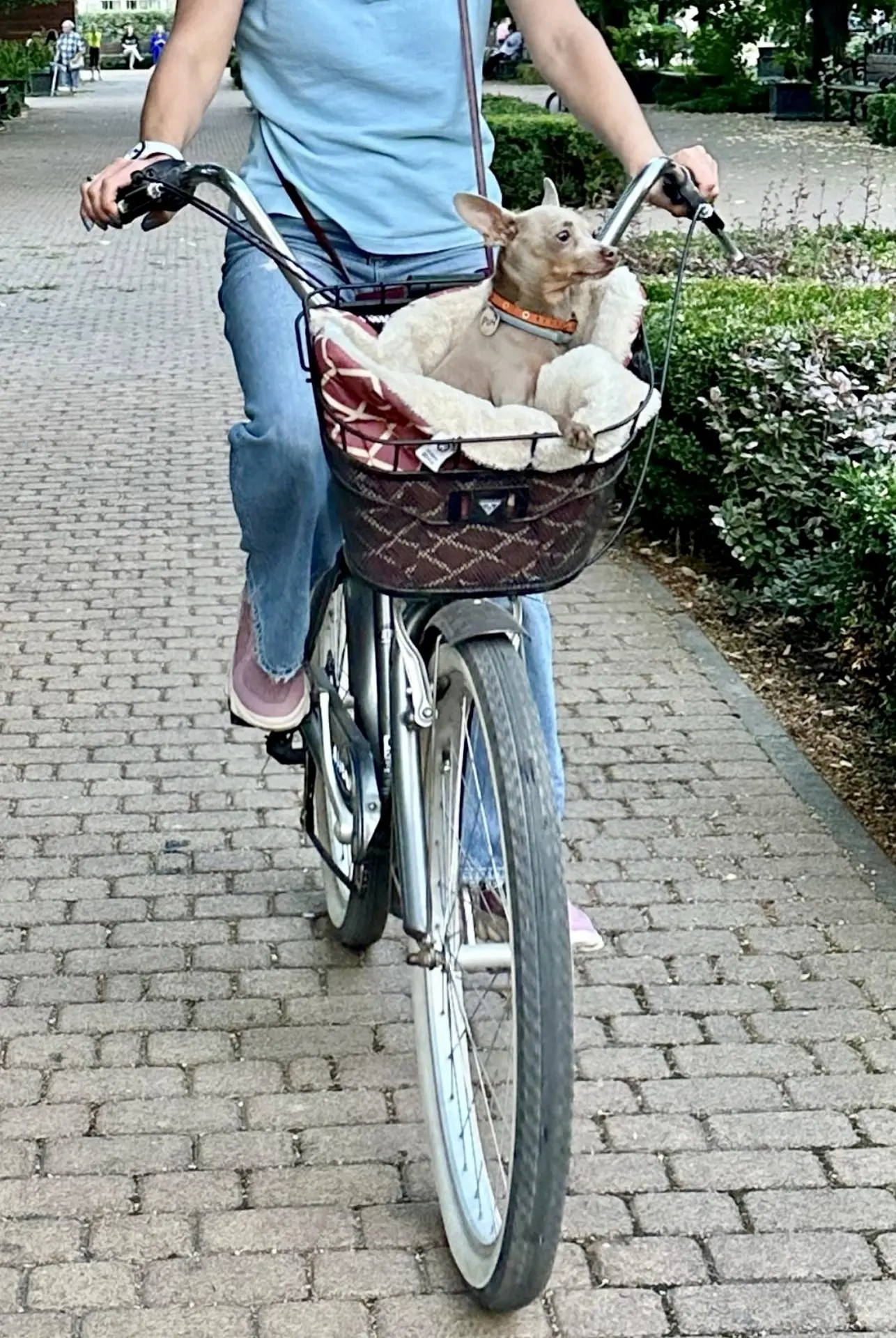 🐾😁🙃
Вот это новости:
оказывается,  Великобритания не связана с производством великов…🚲!!!