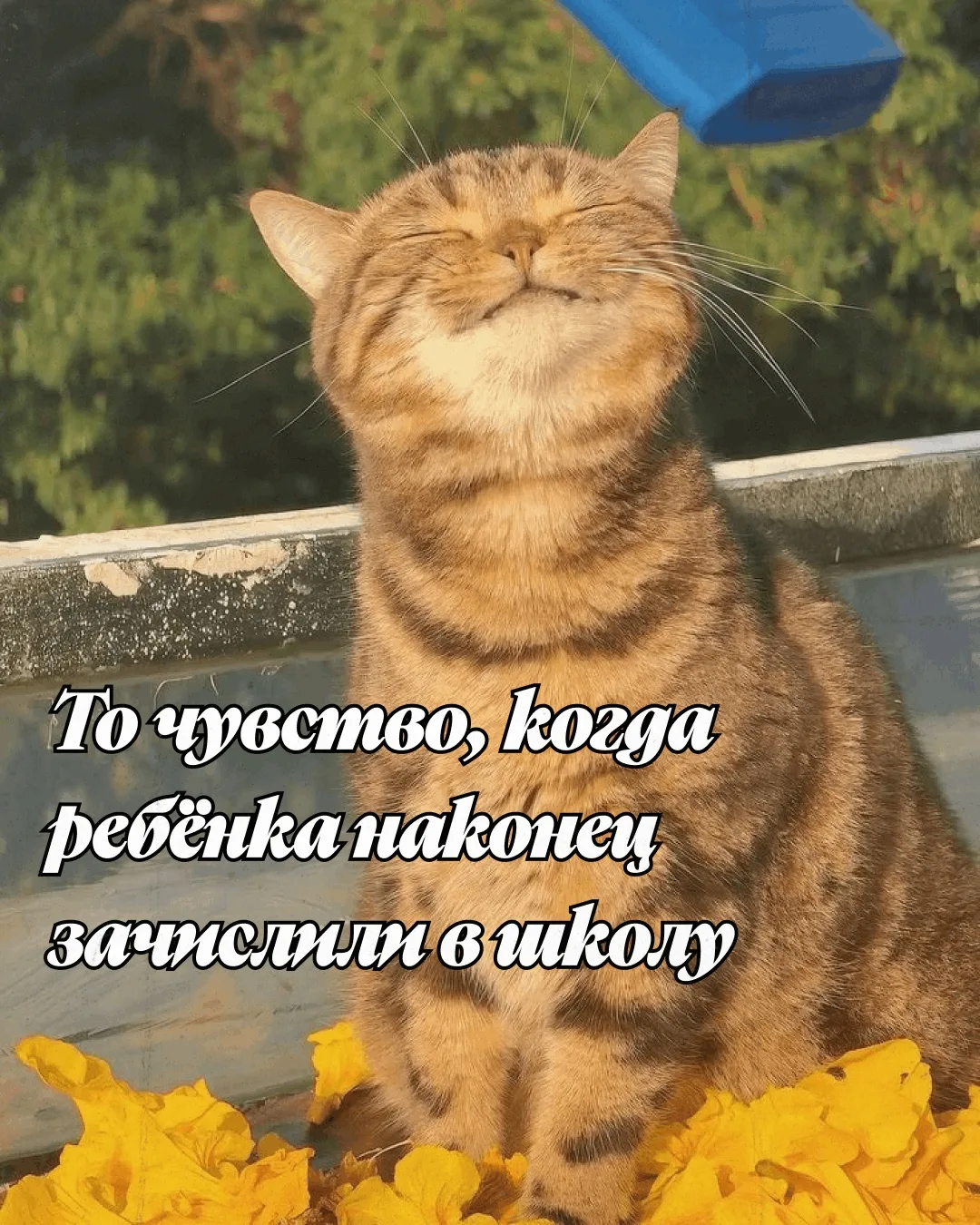 Ваш ребёнок этой осенью впервые сядет за школьную парту? Сейчас самое время убедиться, что все докум