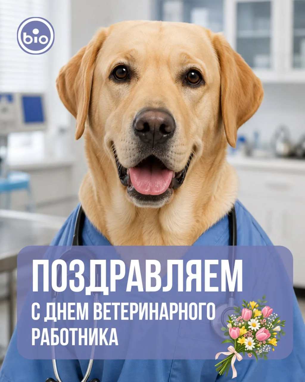 Сегодня — День ветеринарного работника! 🥳🐶🐱