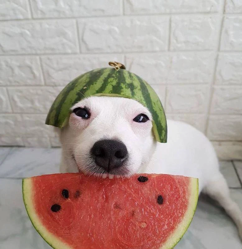 🍉 500 грамм — максимальная дневная доза арбуза для здорового взрослого человека

Превышение этого о