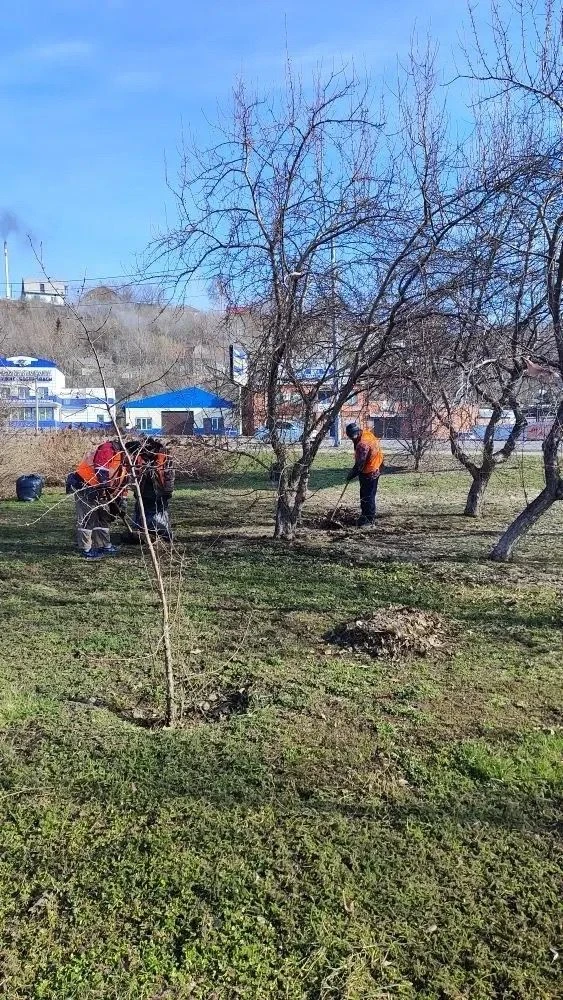 🍂🧹В Бийске полным ходом идут весенние субботники ⁣ В городе активно приводят в порядок общественные 