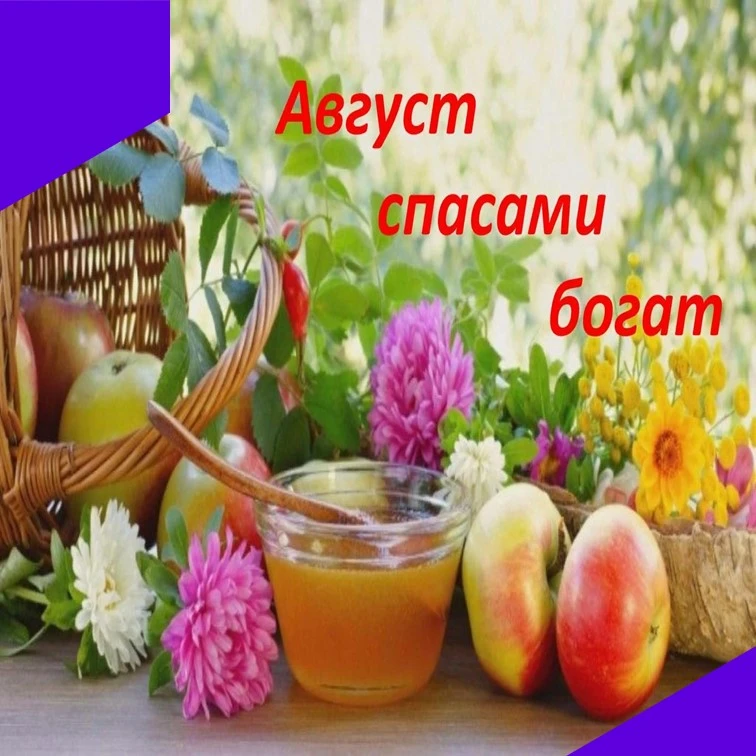 Август Спасами богат