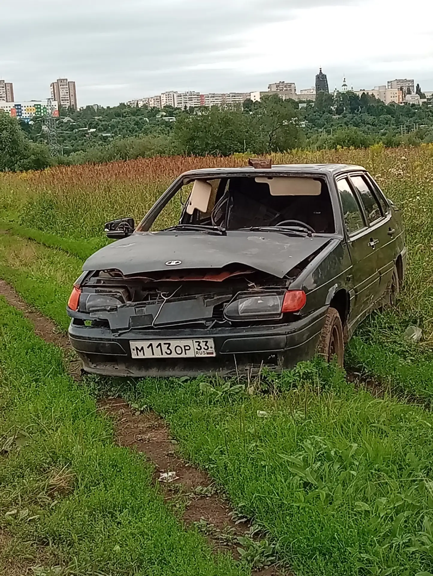 Может чья-та потеряшка на Рахмановом перевозе