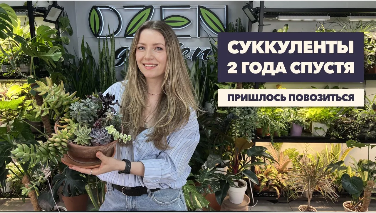 Начала наводить порядок в своих суккулентах. Ежегодная прополка в новом видео).