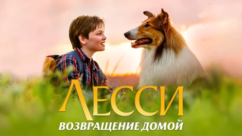 Лесси. Возвращение домой