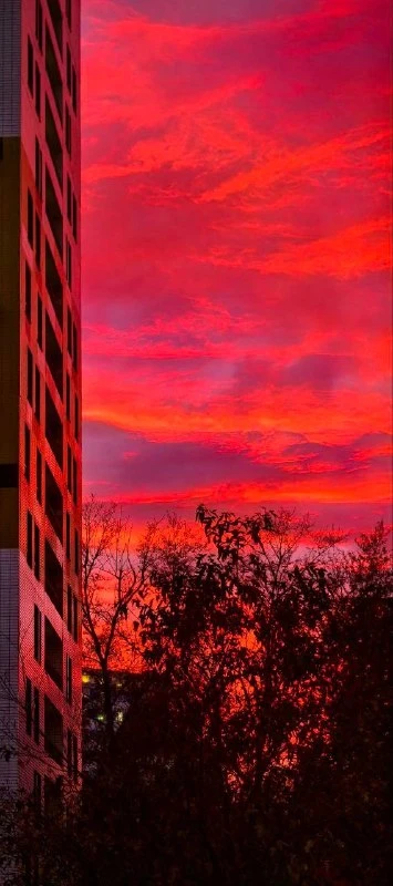 Питерский закат залил небо бордовыми оттенками. 🌇😍