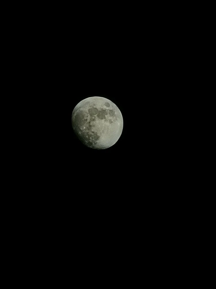Вечерняя Луна 🌔