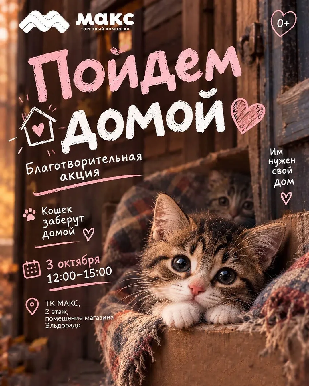 БОЛЬШАЯ ВЫСТАВКА бездомных кошек в ТК МАКС🐈