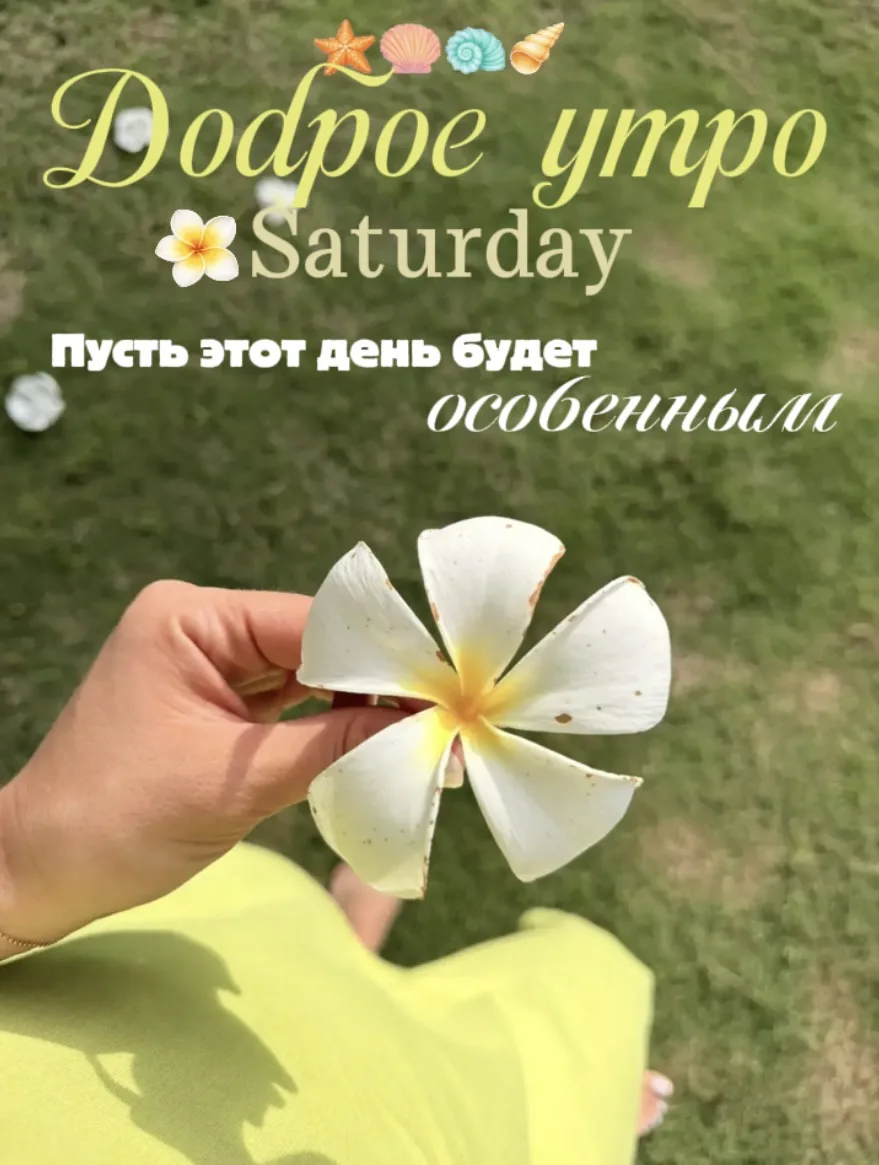 Доброе утро ☀️