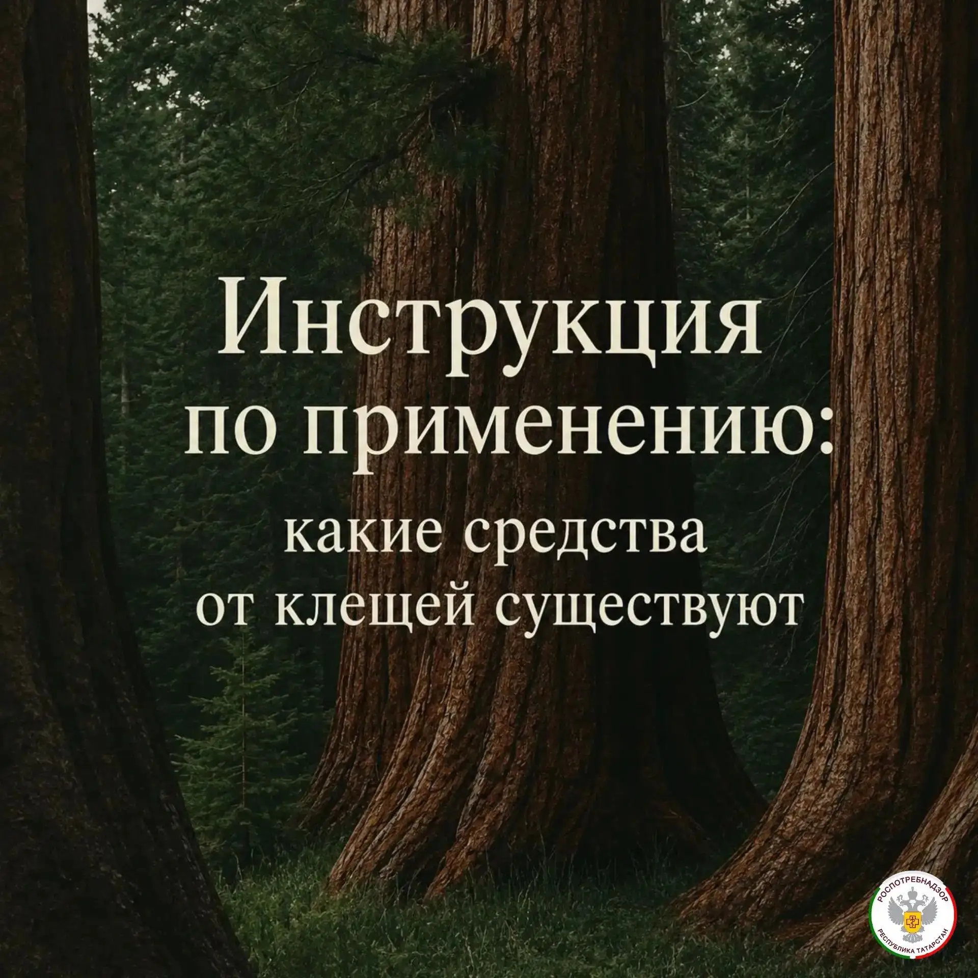 🕷 В России немало территорий, эндемичных по клещевому энцефалиту и другим передаваемым клещами боле