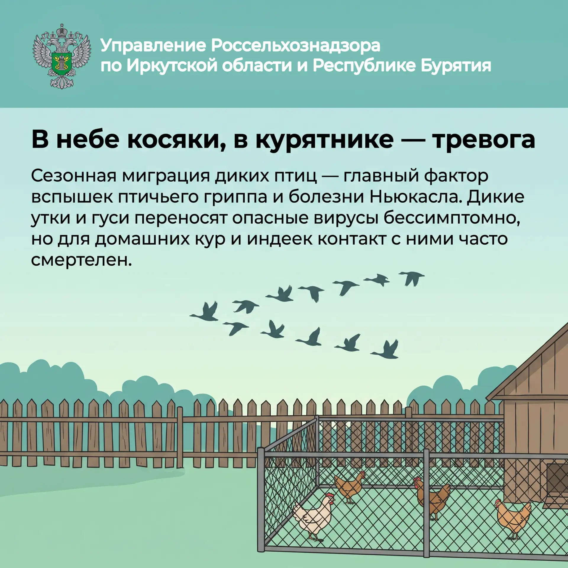 Осенняя миграция диких птиц в самом разгаре: как защитить свое подворье?
