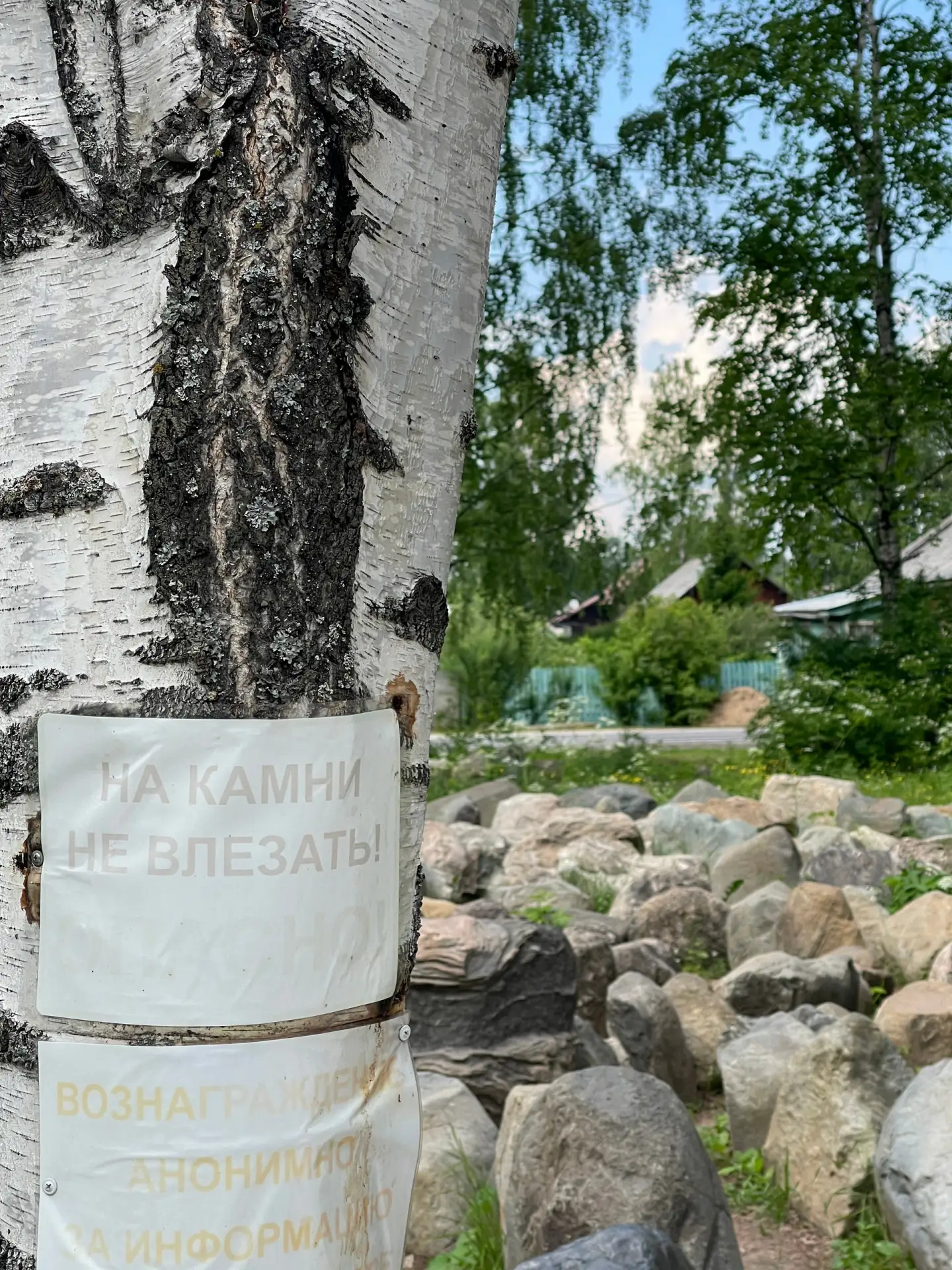 Зачем в детском парке положили камни, если на них нельзя залезать? 🤔