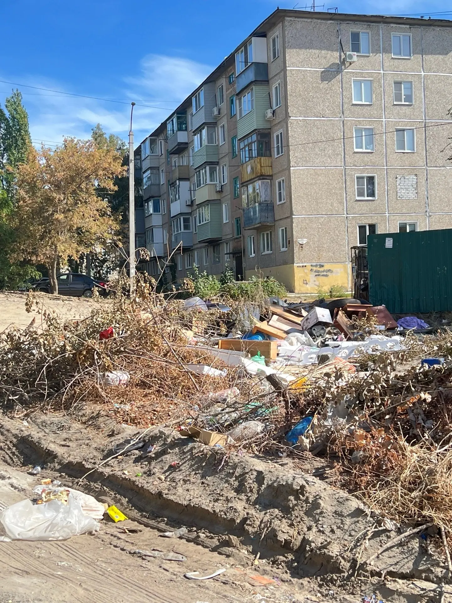 Жители Волгоградской области помогают выявлять нарушения через чат-бот «Порядок в регио...