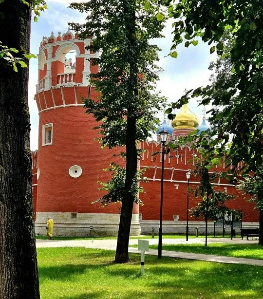 Донской монастырь ⛪🌳