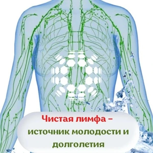 Если у вас есть эти симптомы, вам точно нужно очищать лимфу!

• Отекают ноги, руки и лицо
• Проблемы