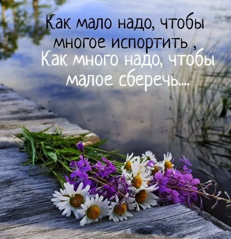 #цитаты
Картинки на каждый день