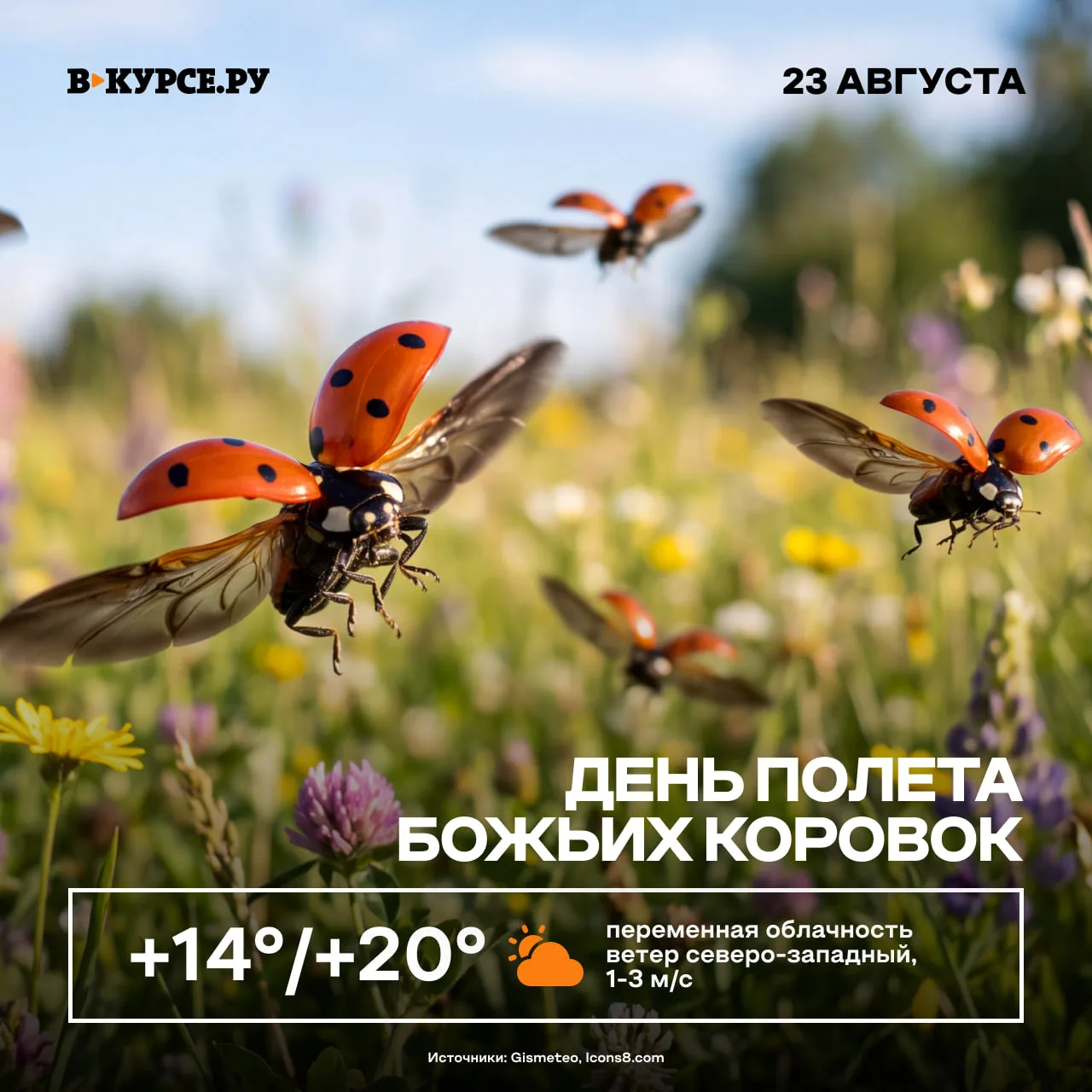 Доброе утро! Сегодня переменная облачность и +20 градусов тепла.