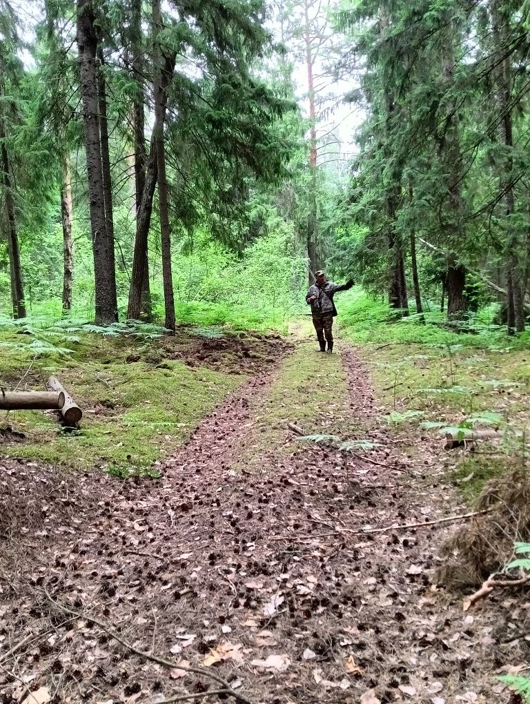 🌿На территории Ульяновского лесничества регулярно осуществляется патрулирование государственного ле