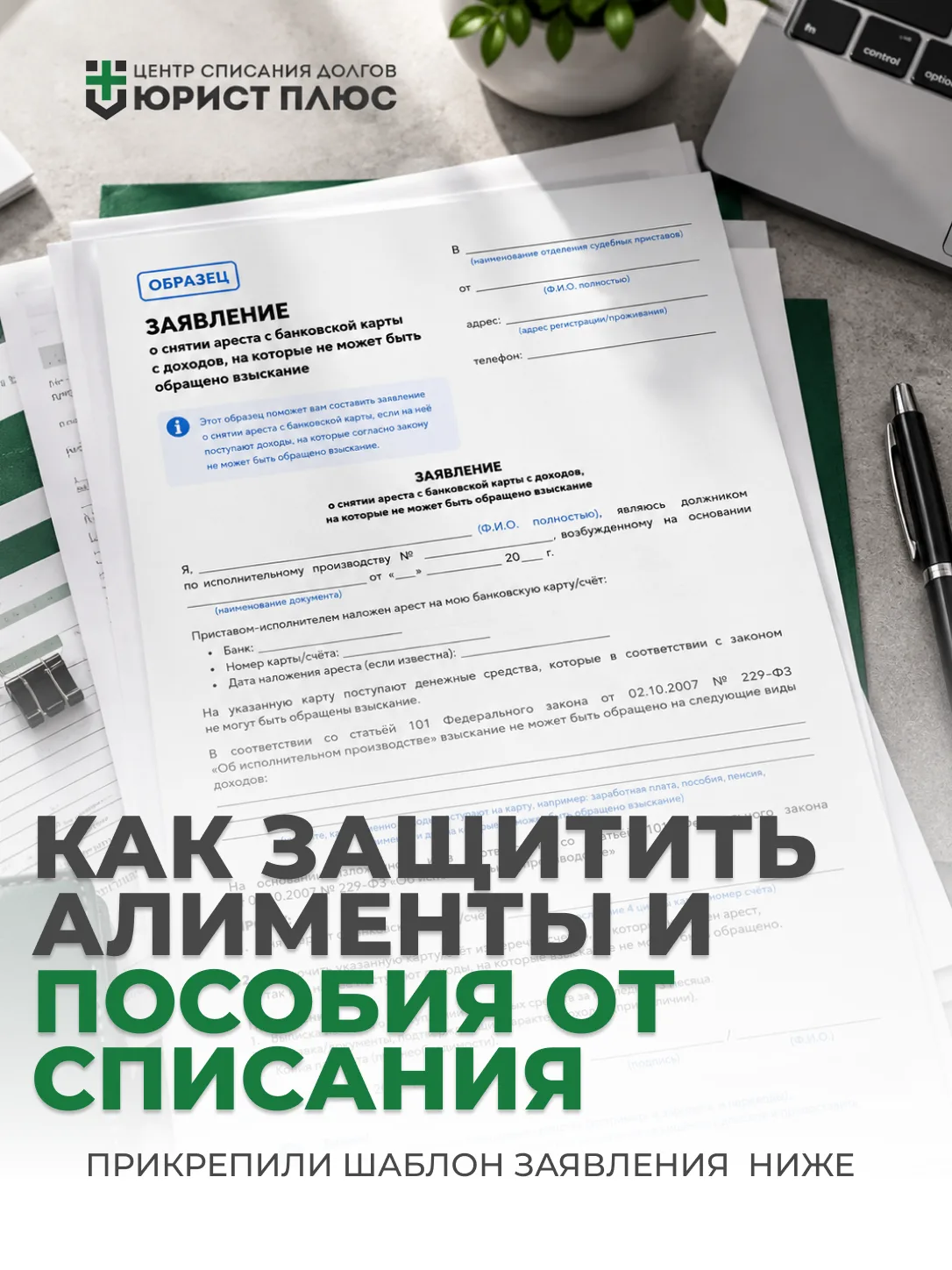 КАК ЗАЩИТИТЬ АЛИМЕНТЫ И ПОСОБИЯ ОТ СПИСАНИЯ? ДЕЛЮСЬ ШАБЛОНОМ ЗАЯВЛЕНИЯ 👇