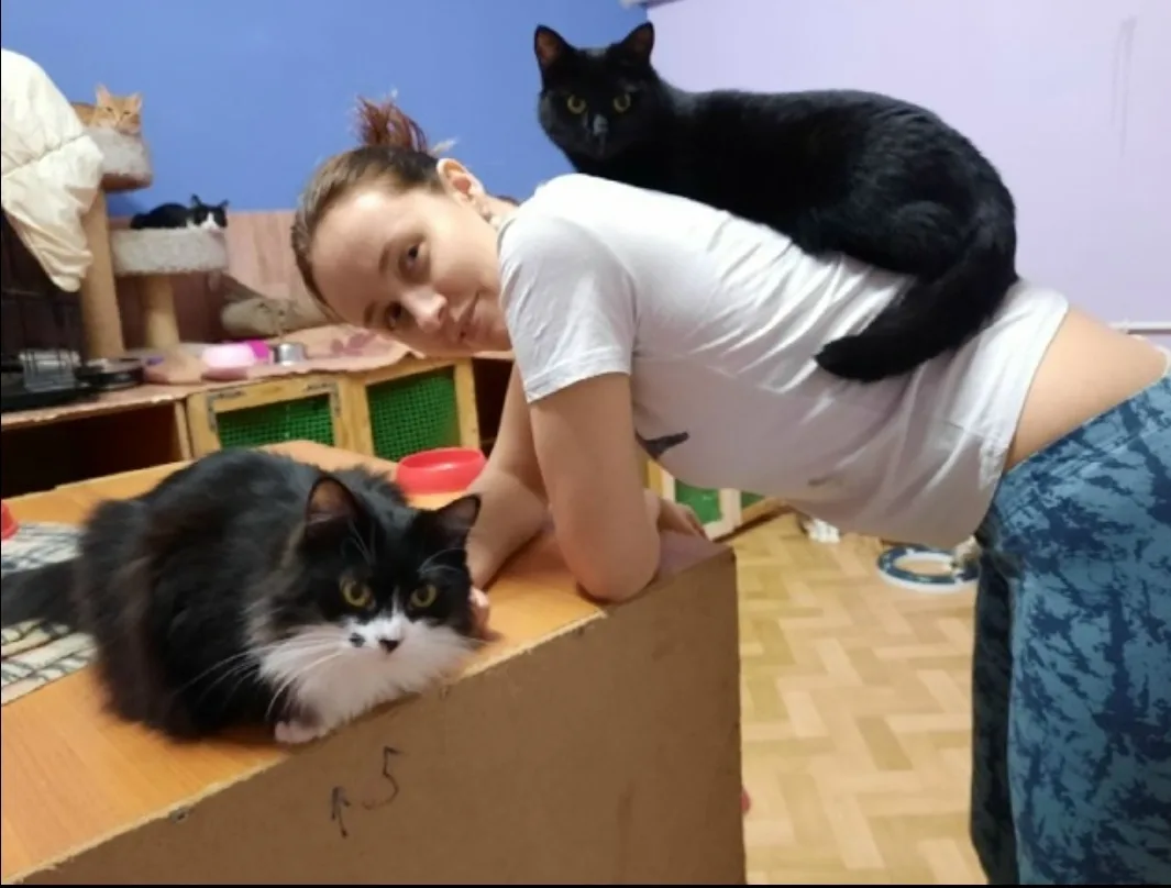НАМ ОЧЕНЬ НУЖНЫ ПОМОЩНИКИ ! ВОЛОНТЕРОВ ОЧЕНЬ МАЛО, КОТИКИ БУКВАЛЬНО ЕЗДЯТ НА НИХ И САДЯ...