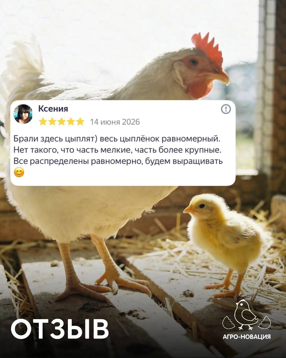 Благодарим Ксению за отзыв❤️