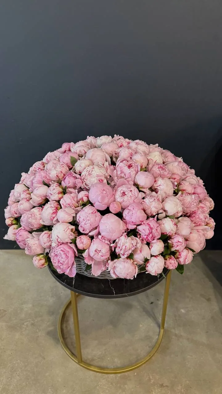 К нам приехали пионы 🌸