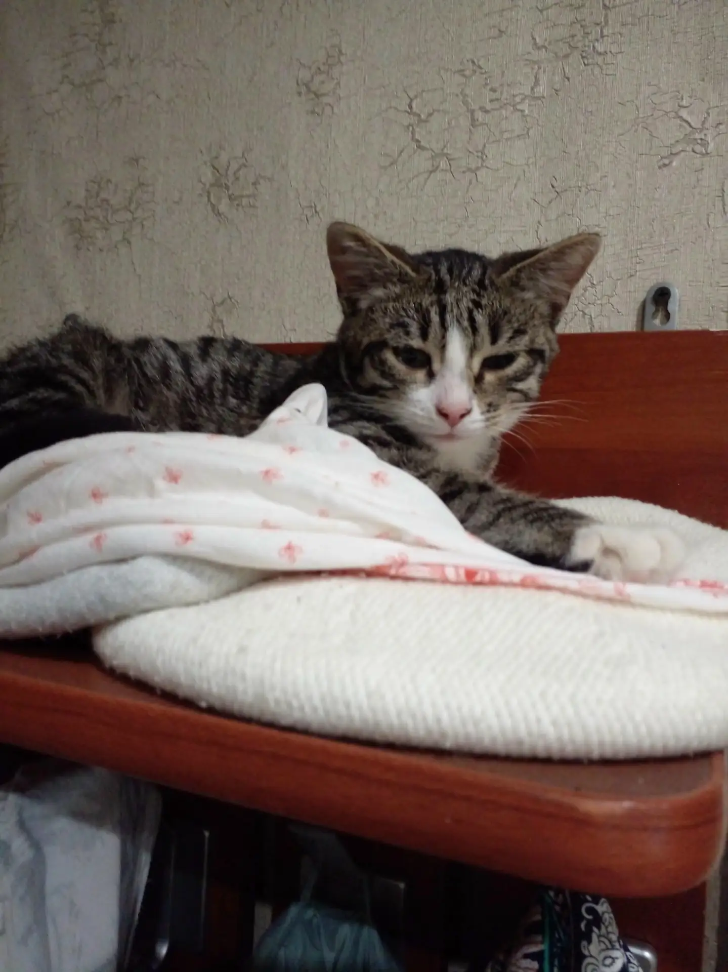 Маленькая куколка Марси очень хочет домой… 🐾
