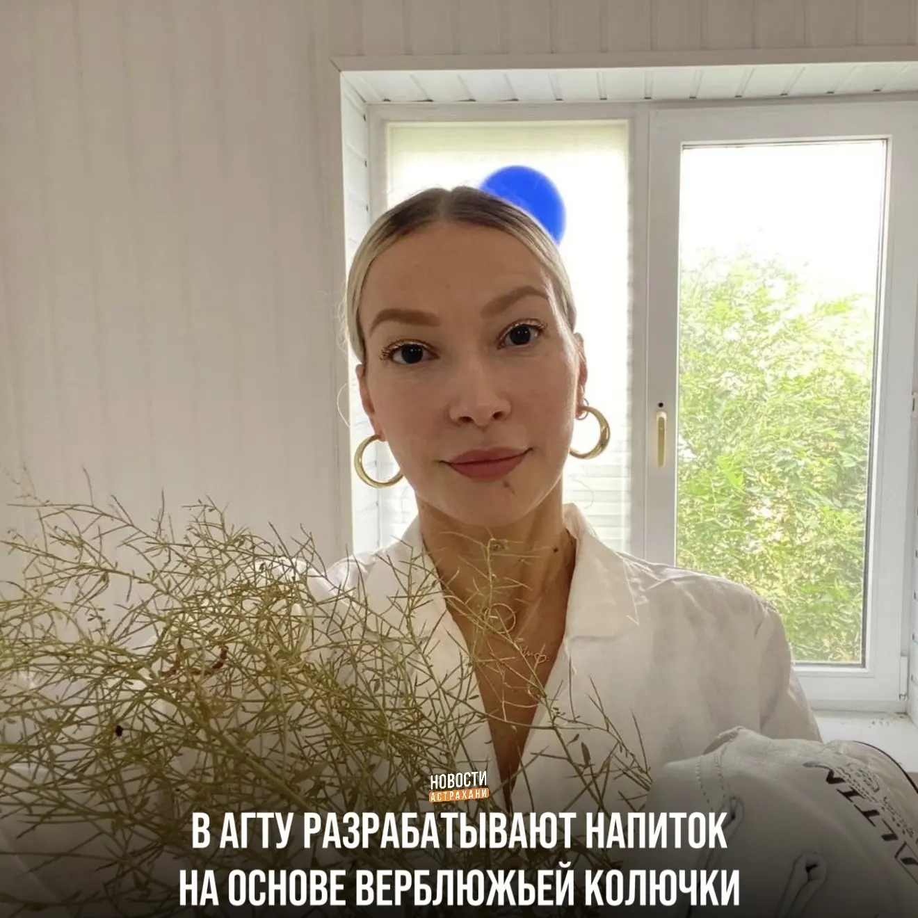 А вы знали, что верблюжья колючка обладает многими полезными свойствами и элементами?