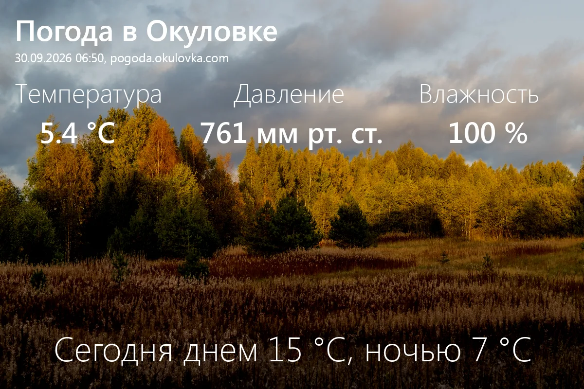 Доброе утро! Сейчас в Окуловке 5.4 °C, давление 761 мм.рт.ст., влажность 100%.