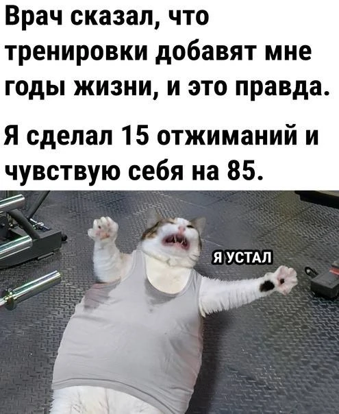 Мемтайм! 😁
