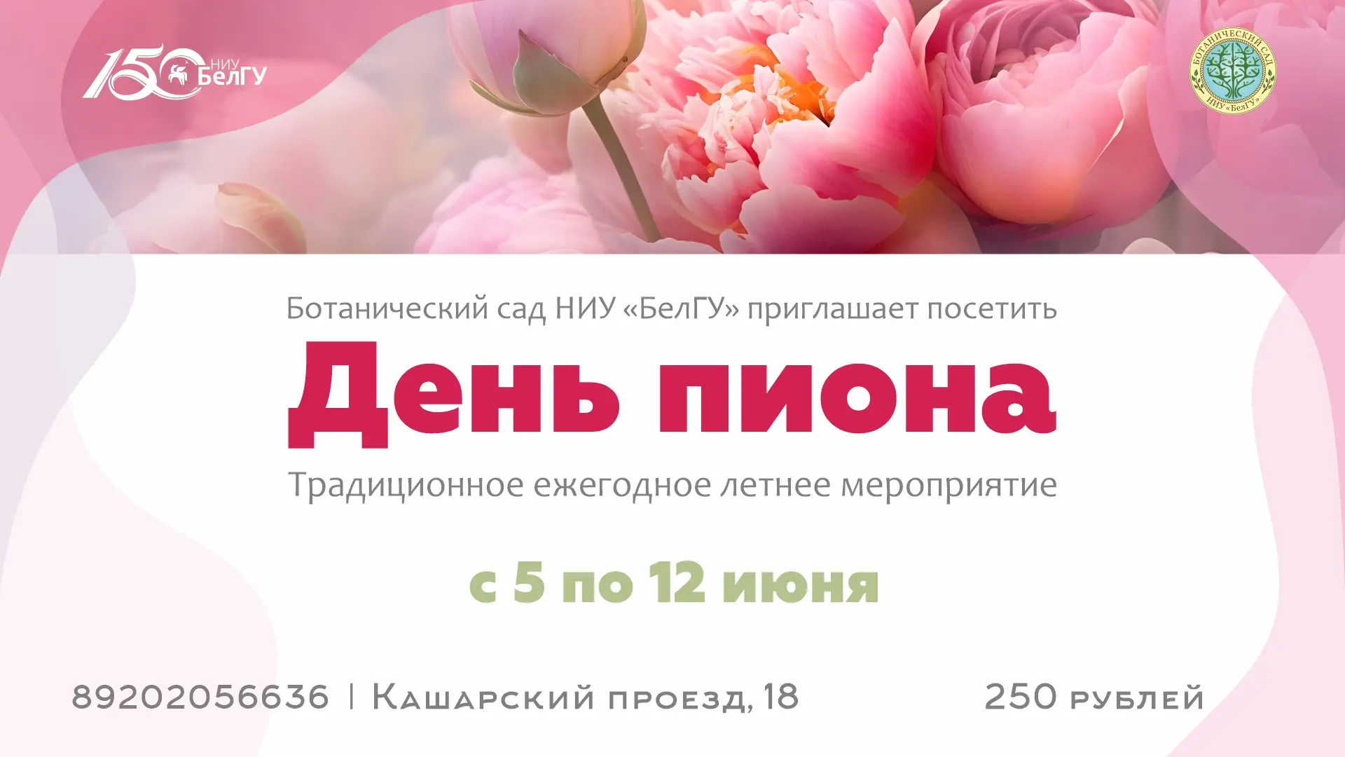 Пионы, прогулки и летние фотографии🌸