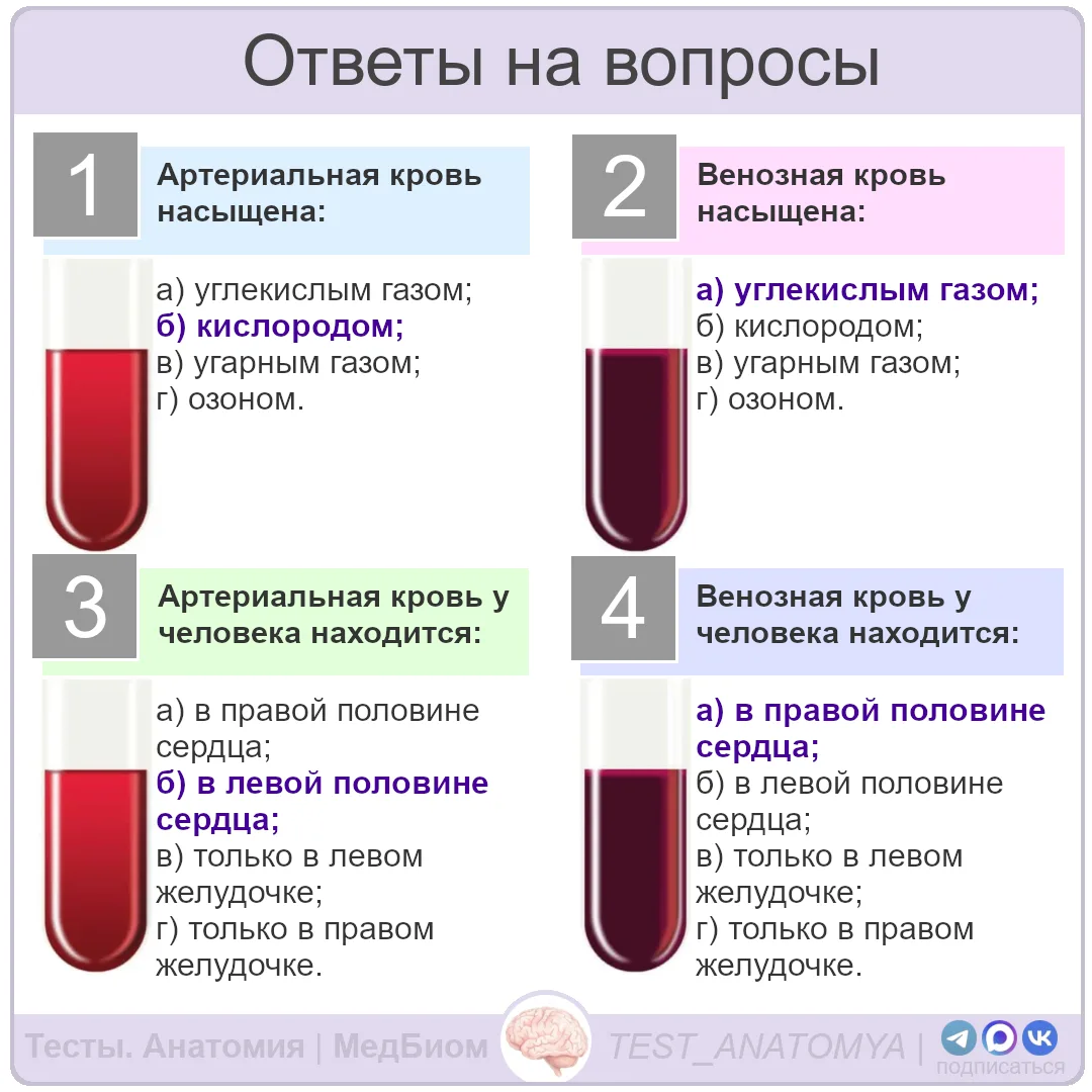 ⬆️ Ответы на вопросы