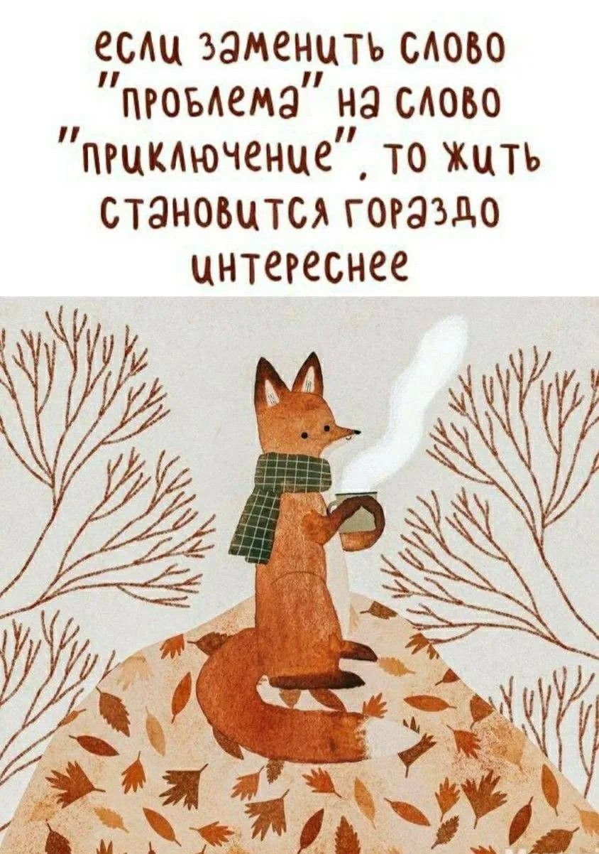 Вот это приключение у нас вышло 😃