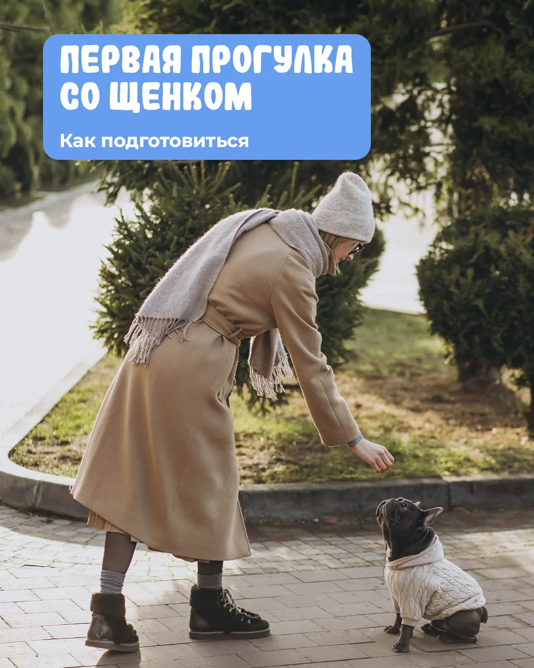 Гуляем безопасно: как подготовить щенка к первой прогулке на улице 🏡