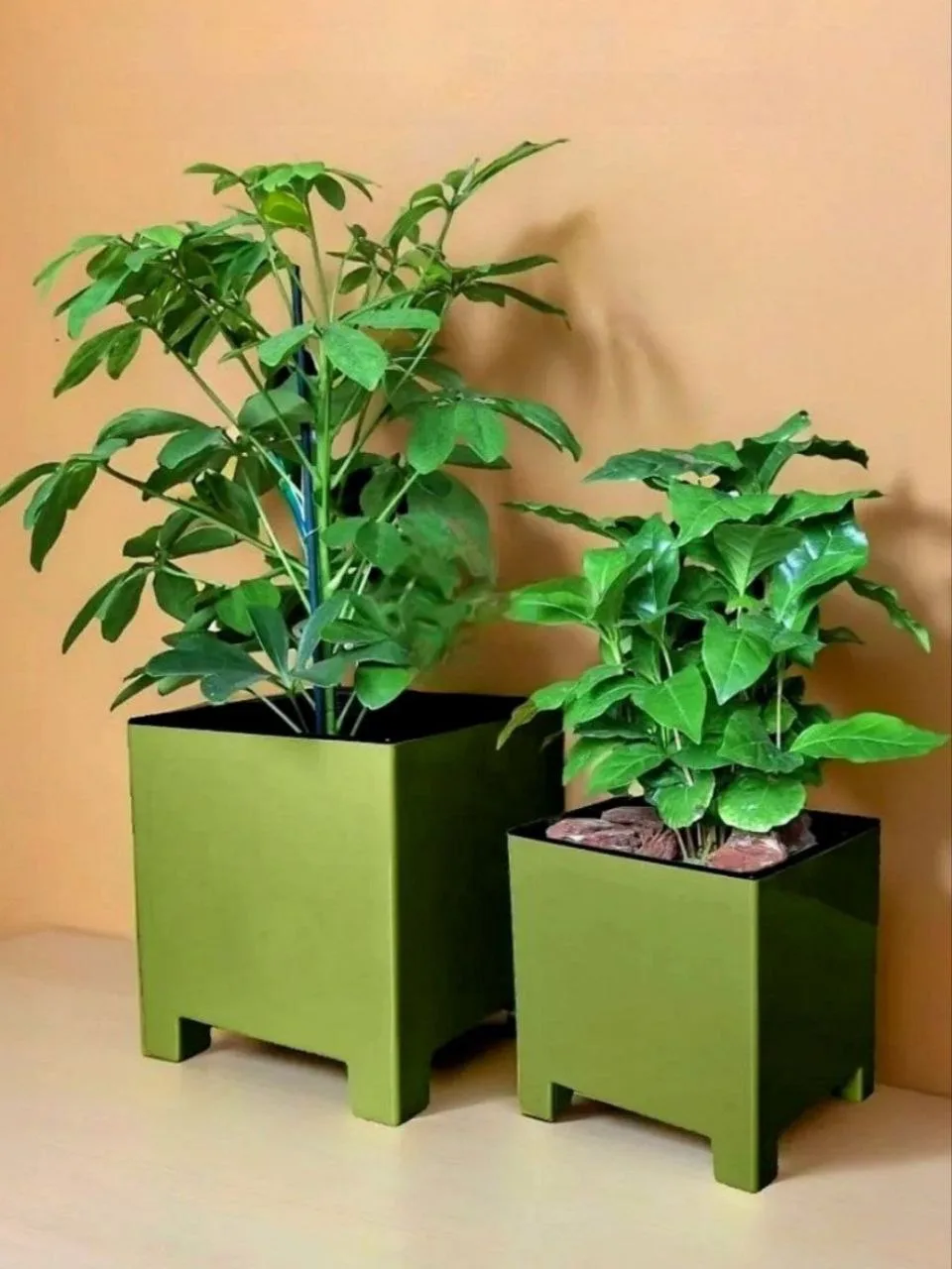 🌺Горшочки для цветов