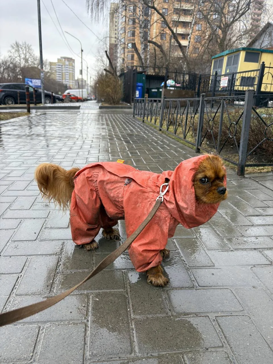Всем доброе утро,  друзья! 🤗