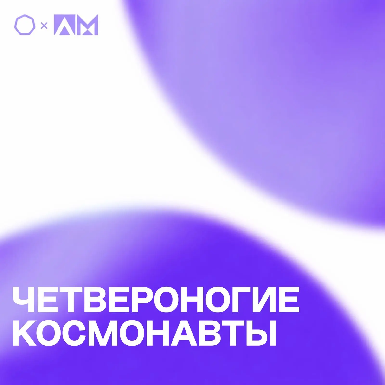 • ЧЕТВЕРОНОГИЕ КОСМОНАВТЫ •  🐕 Кто на самом деле проложил дорогу к звёздам? Задолго до первого полёт